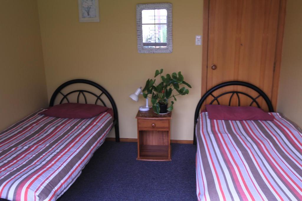Bazil'S Backpackers Bbh Hostel & Surf School Westport Phòng bức ảnh